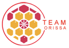 teamorissa.org